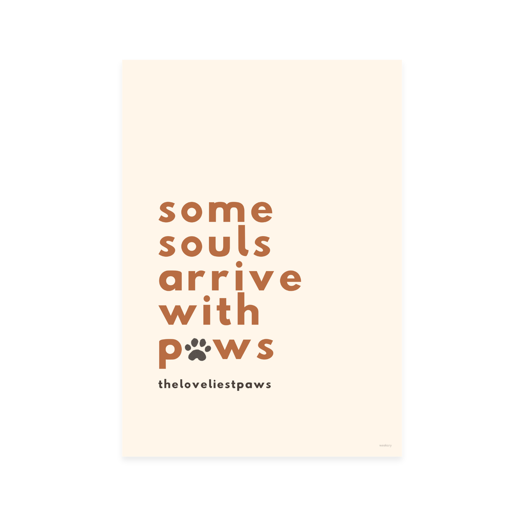 Some souls arrive with paws