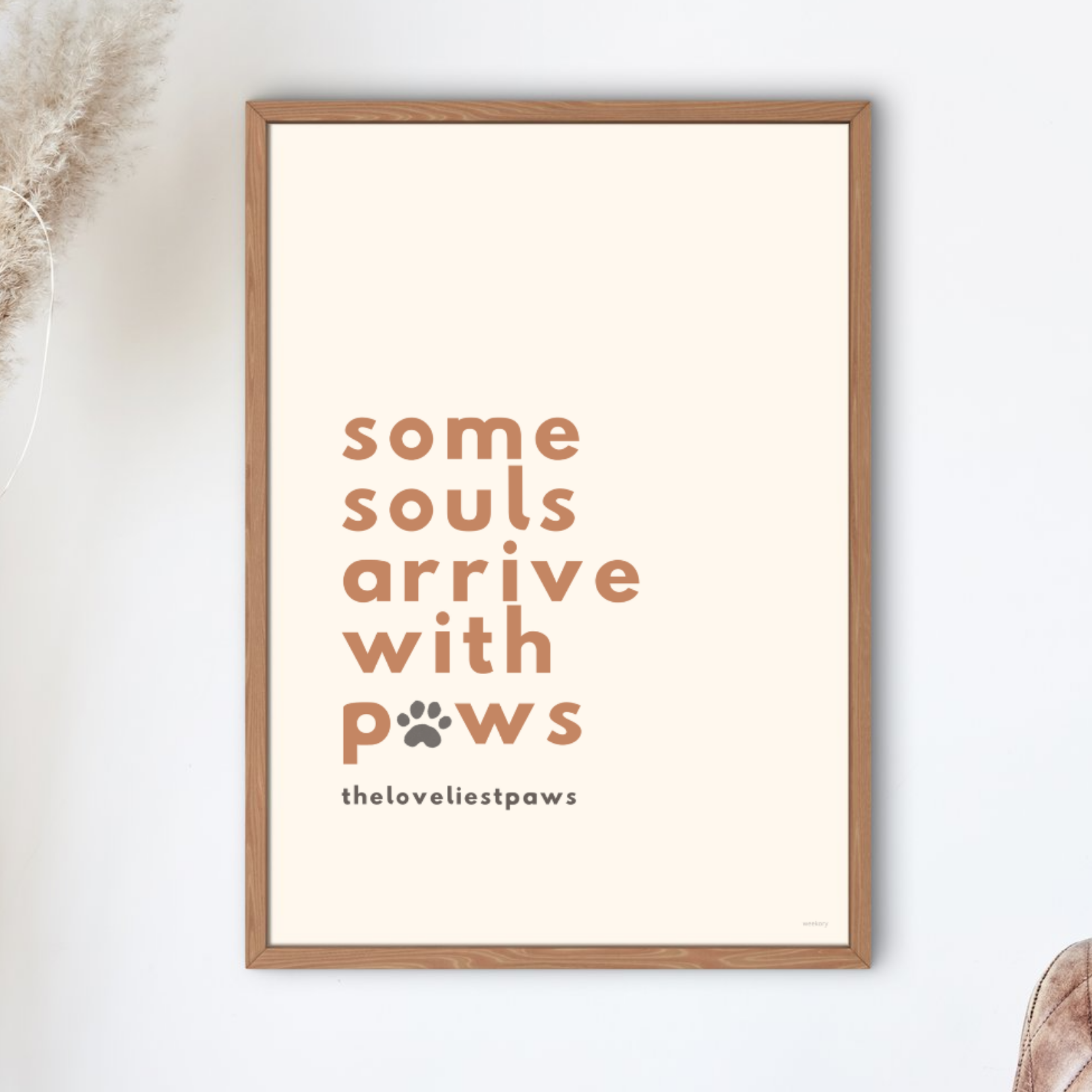 Some souls arrive with paws