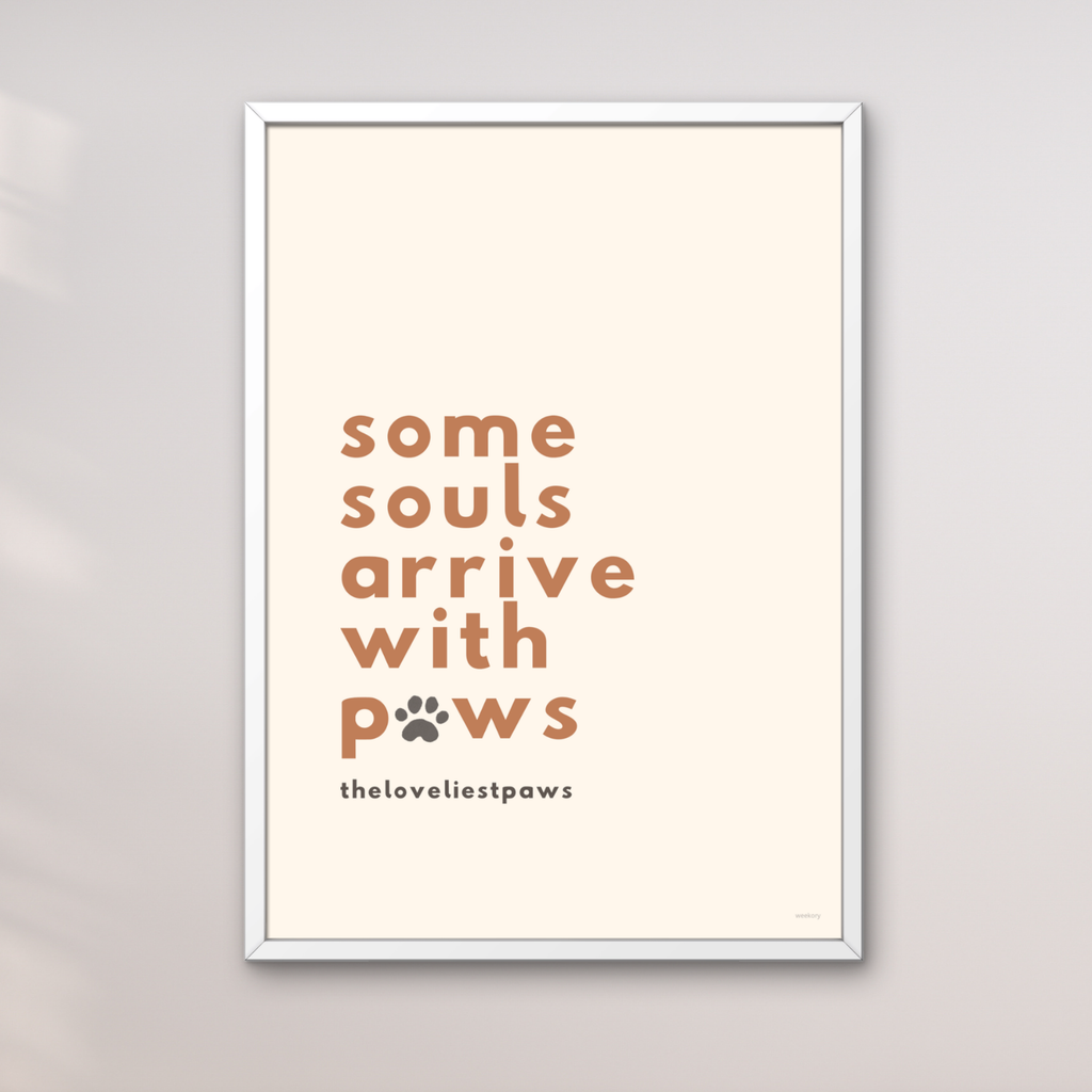 Some souls arrive with paws
